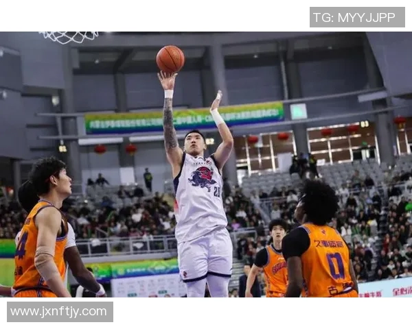 陶汉林：从篮球场上的拼搏到生活中的坚持与成长之路